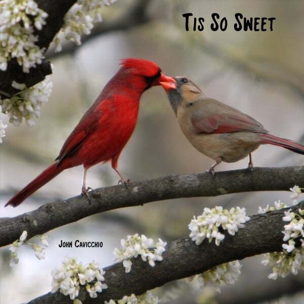 Cover art for Tis so Sweet